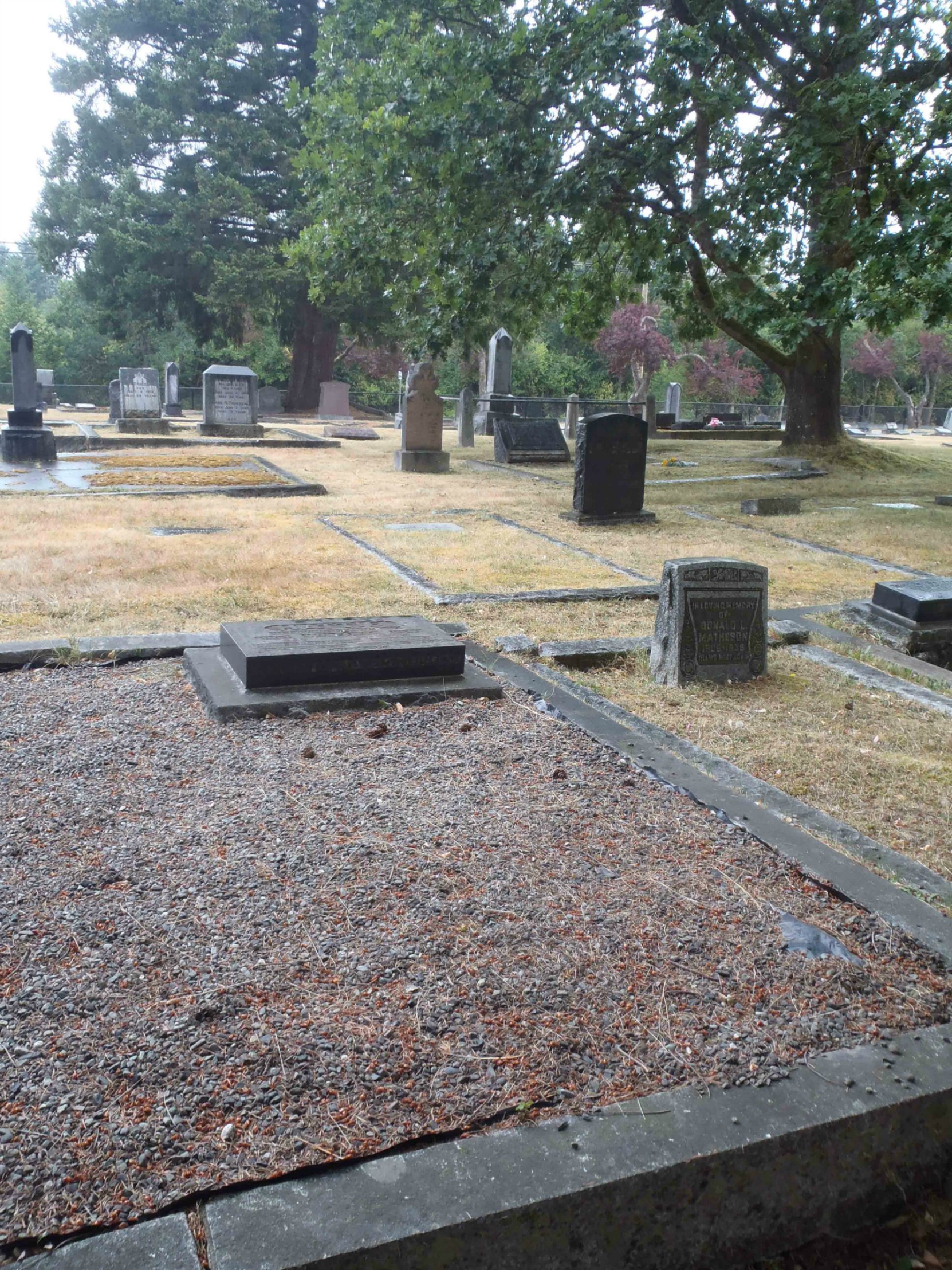Daniel Robertson Hattie grave, Mountain View Cemetery, Somenos Road, North Cowichan.