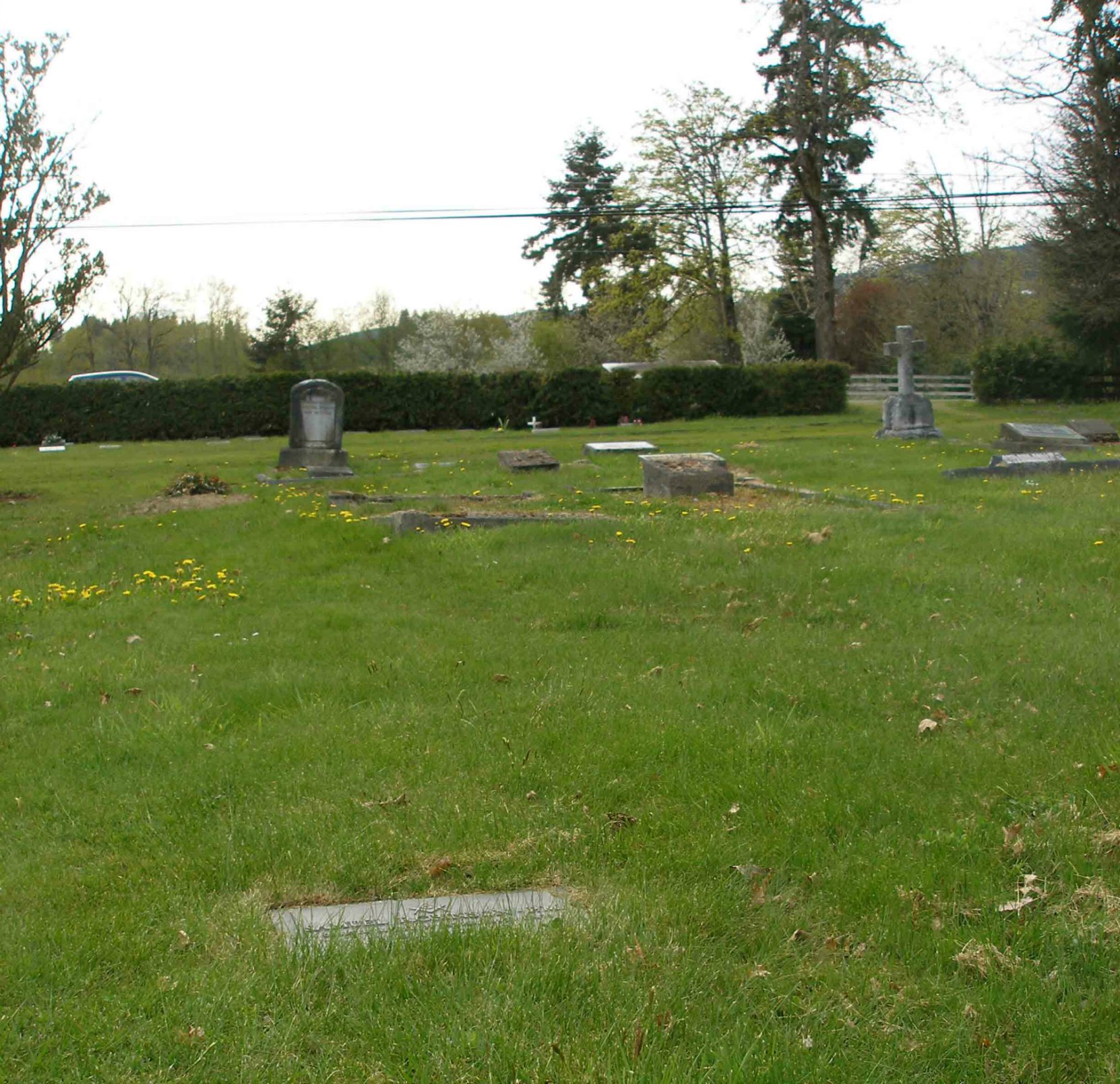 Samuel Robinson grave, St. Mary's Somenos Anglican cemetery, Somenos Road, North Cowichan